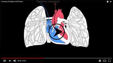 best pacemaker doctor in kolkata